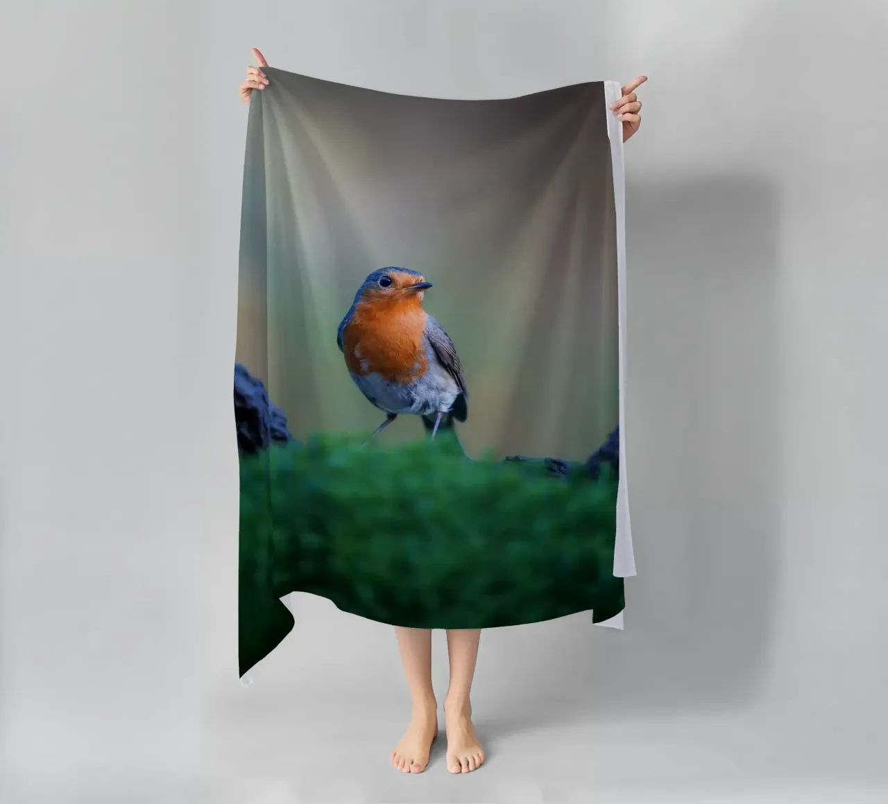 Robin telo mare da Tom's Wildlife