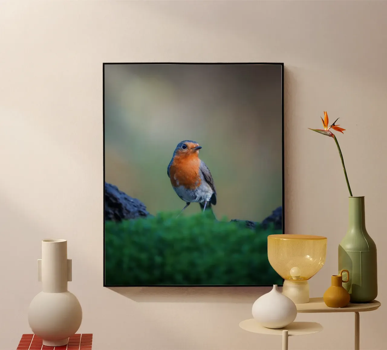 Robin plexiglass da Tom's Wildlife