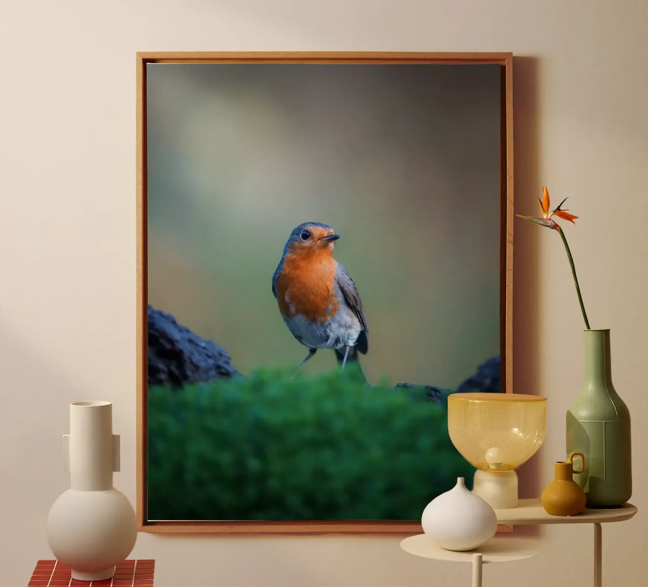 Robin tela da Tom's Wildlife