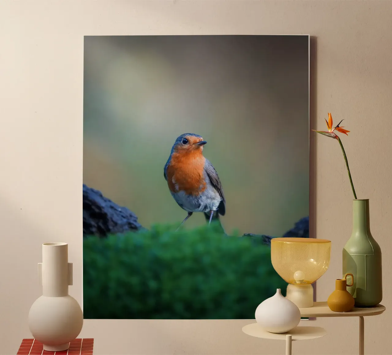 Robin tela da Tom's Wildlife