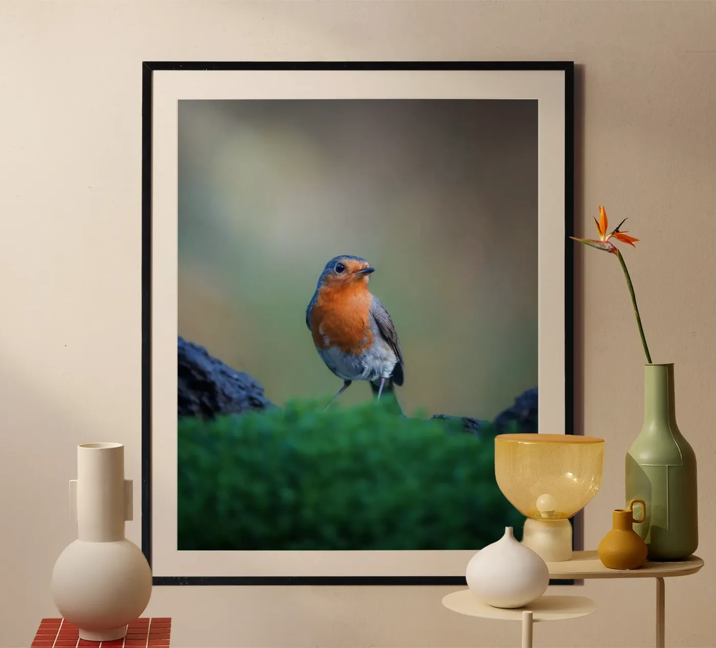 Robin Poster von Tom's Wildlife