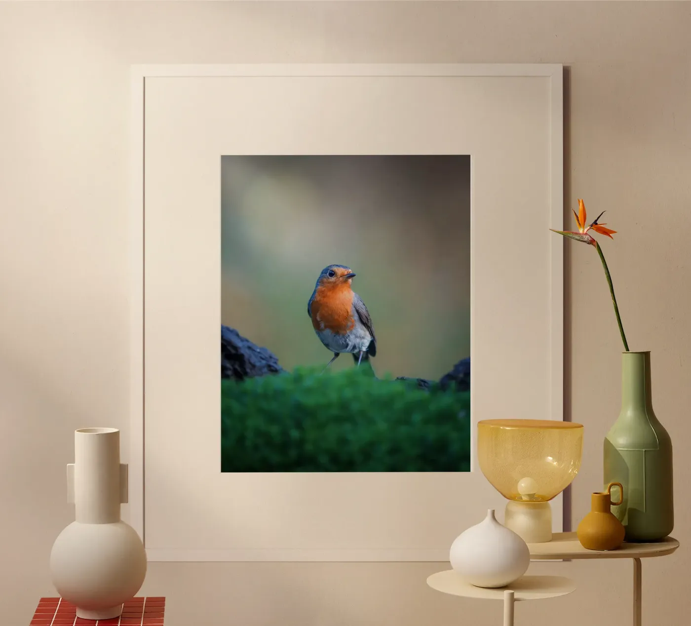 Robin Poster von Tom's Wildlife