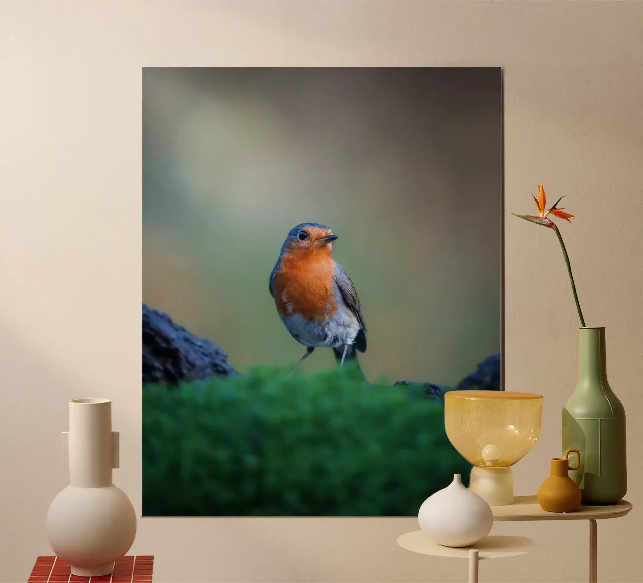 Robin Poster von Tom's Wildlife