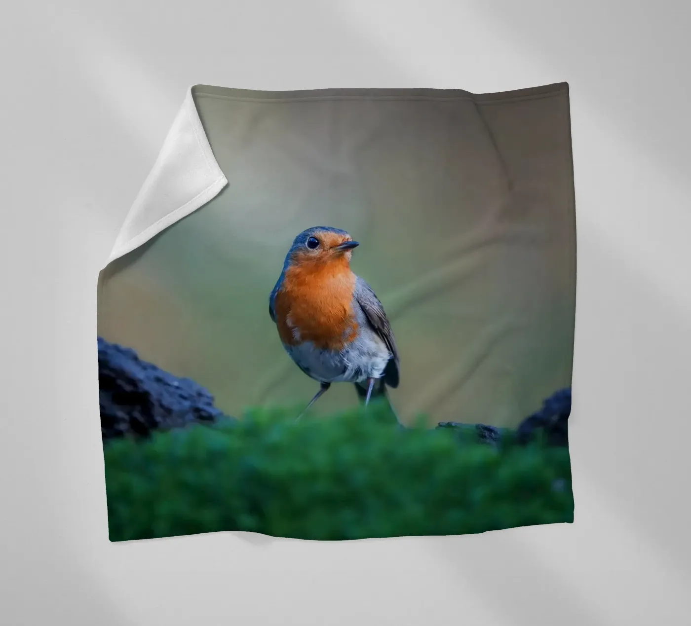 Robin fleece blanket by Tom's Wildlife