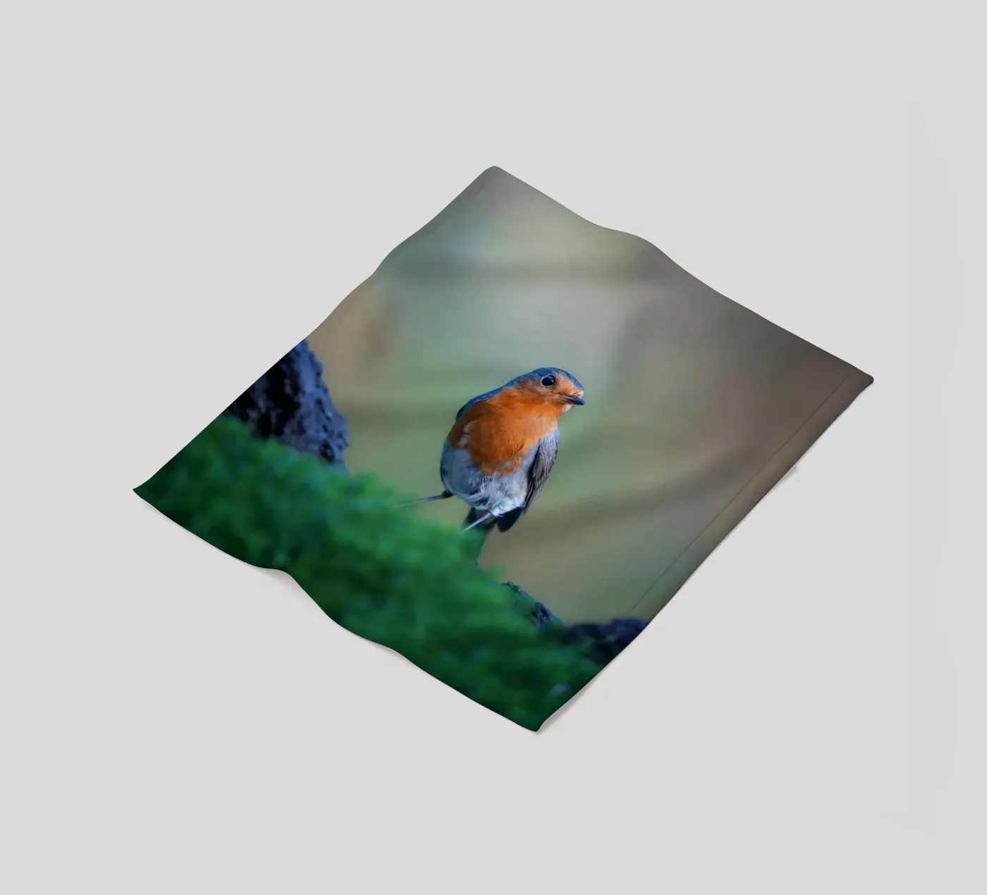 Robin fleece blanket by Tom's Wildlife