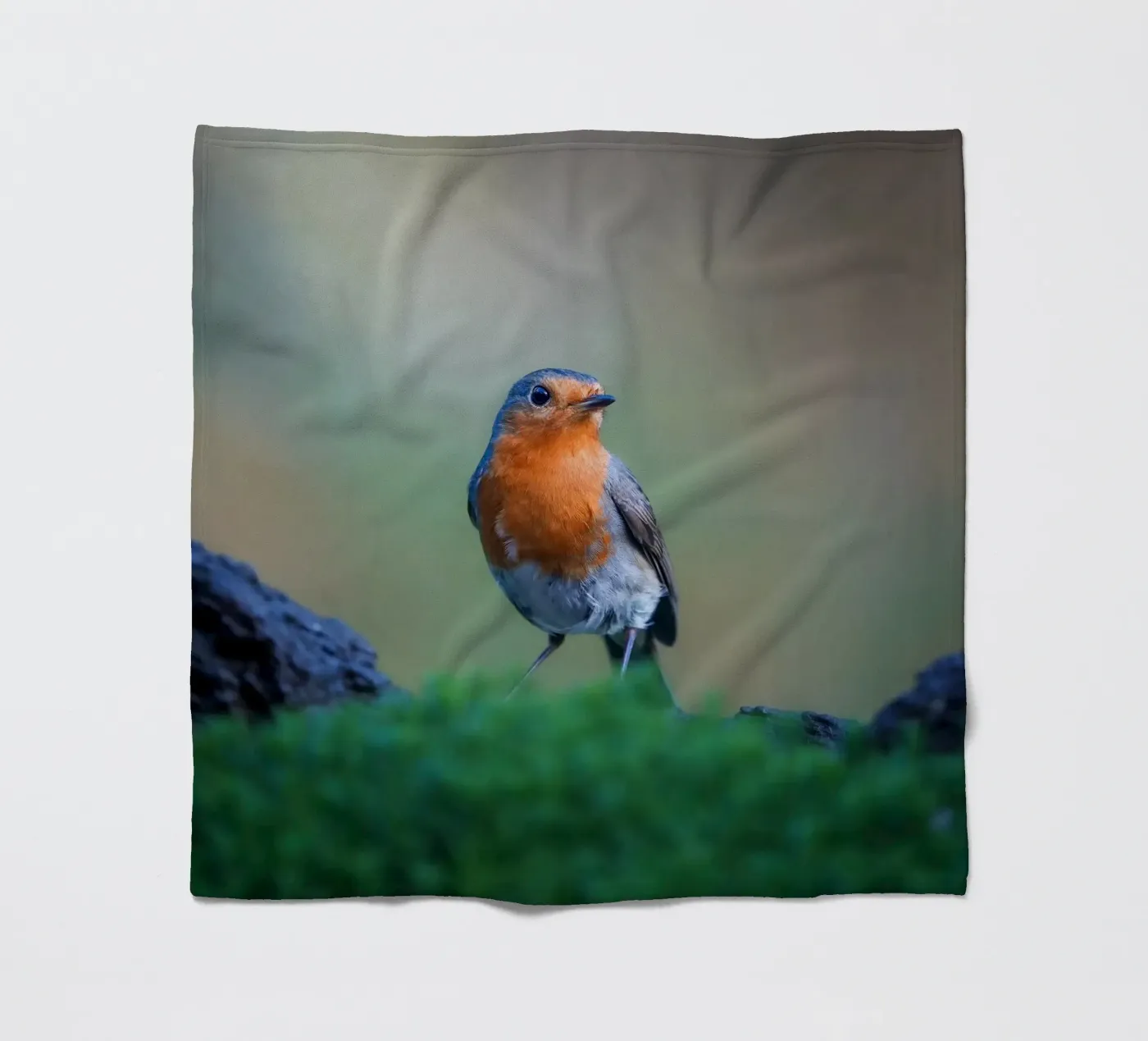 Robin fleece blanket by Tom's Wildlife