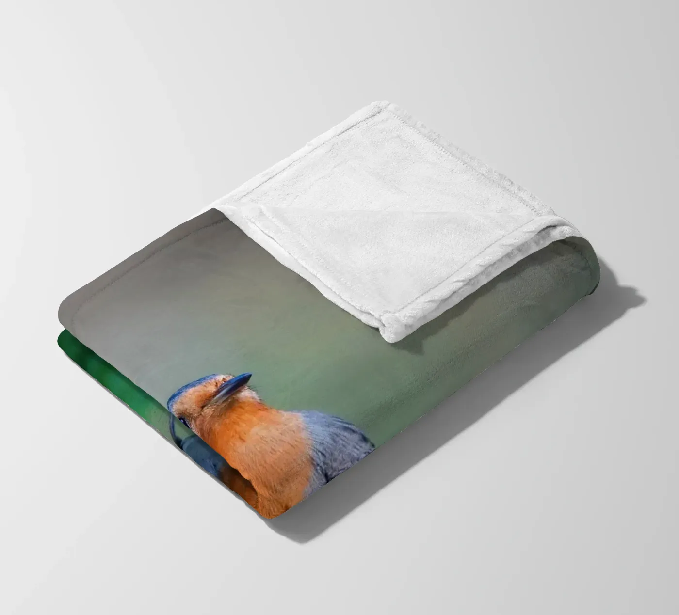 Robin fleece blanket by Tom's Wildlife