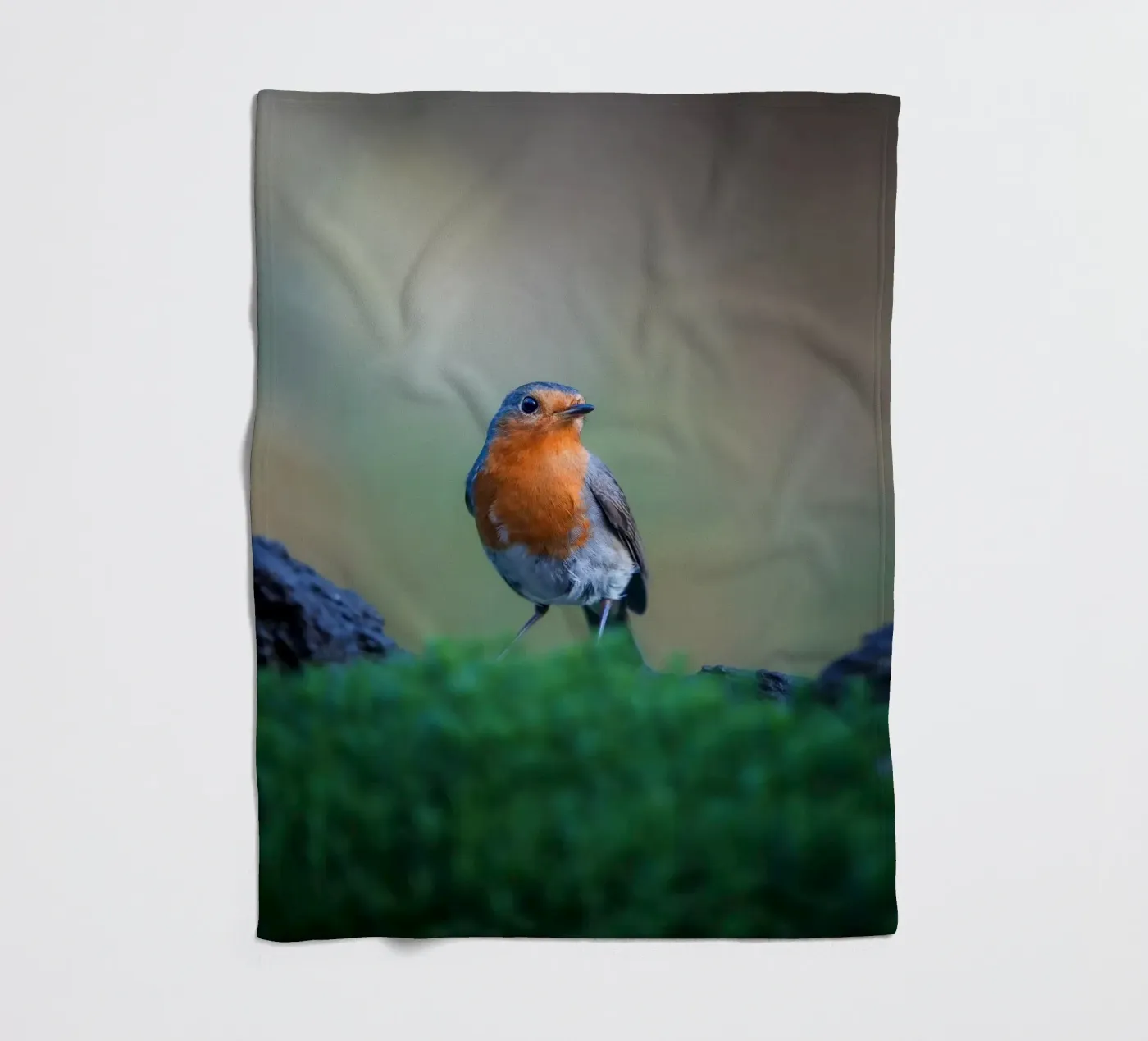 Robin fleece blanket by Tom's Wildlife
