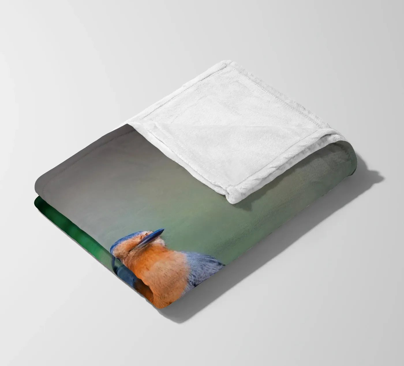 Robin fleece blanket by Tom's Wildlife