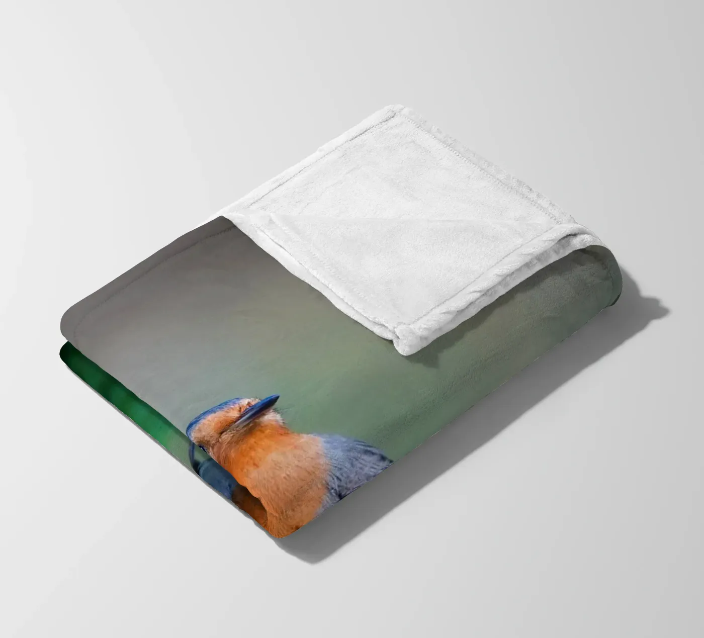 Robin fleece blanket by Tom's Wildlife
