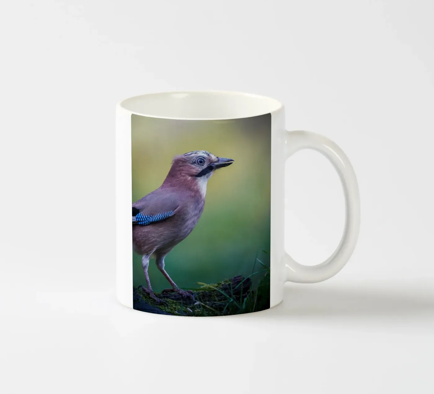 Jay keramische mok van Tom's Wildlife