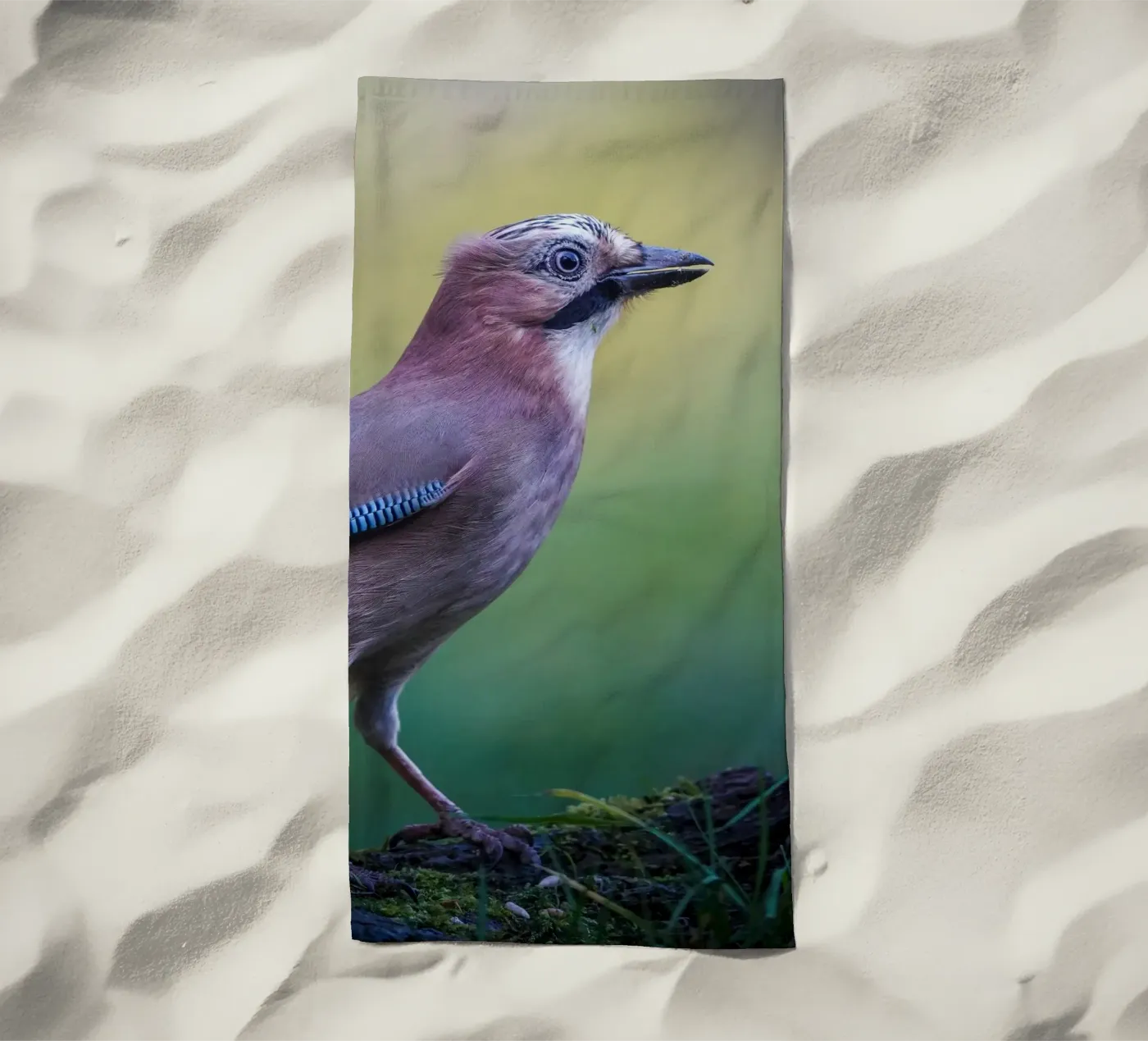 Jay strandhanddoek van Tom's Wildlife