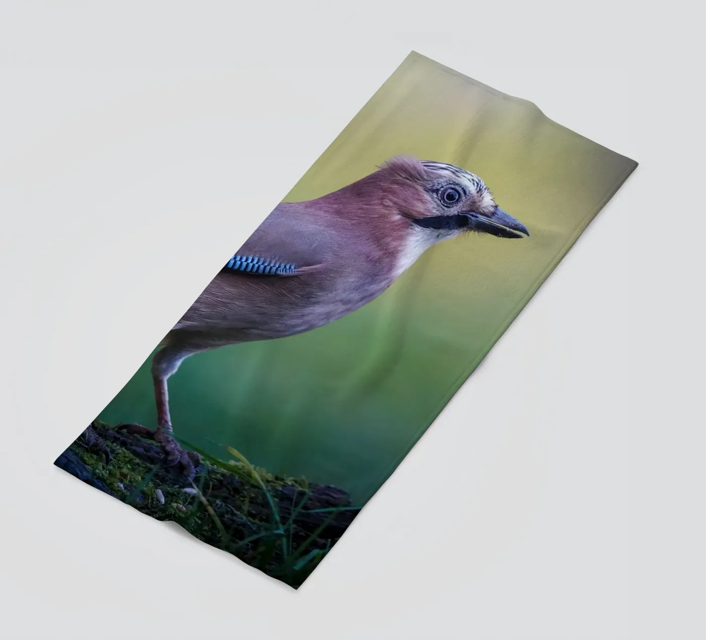 Jay strandhanddoek van Tom's Wildlife