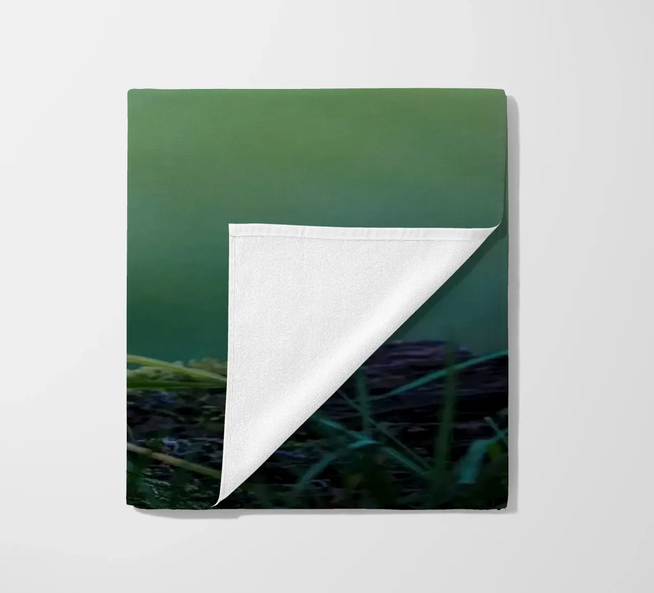 Jay telo mare da Tom's Wildlife