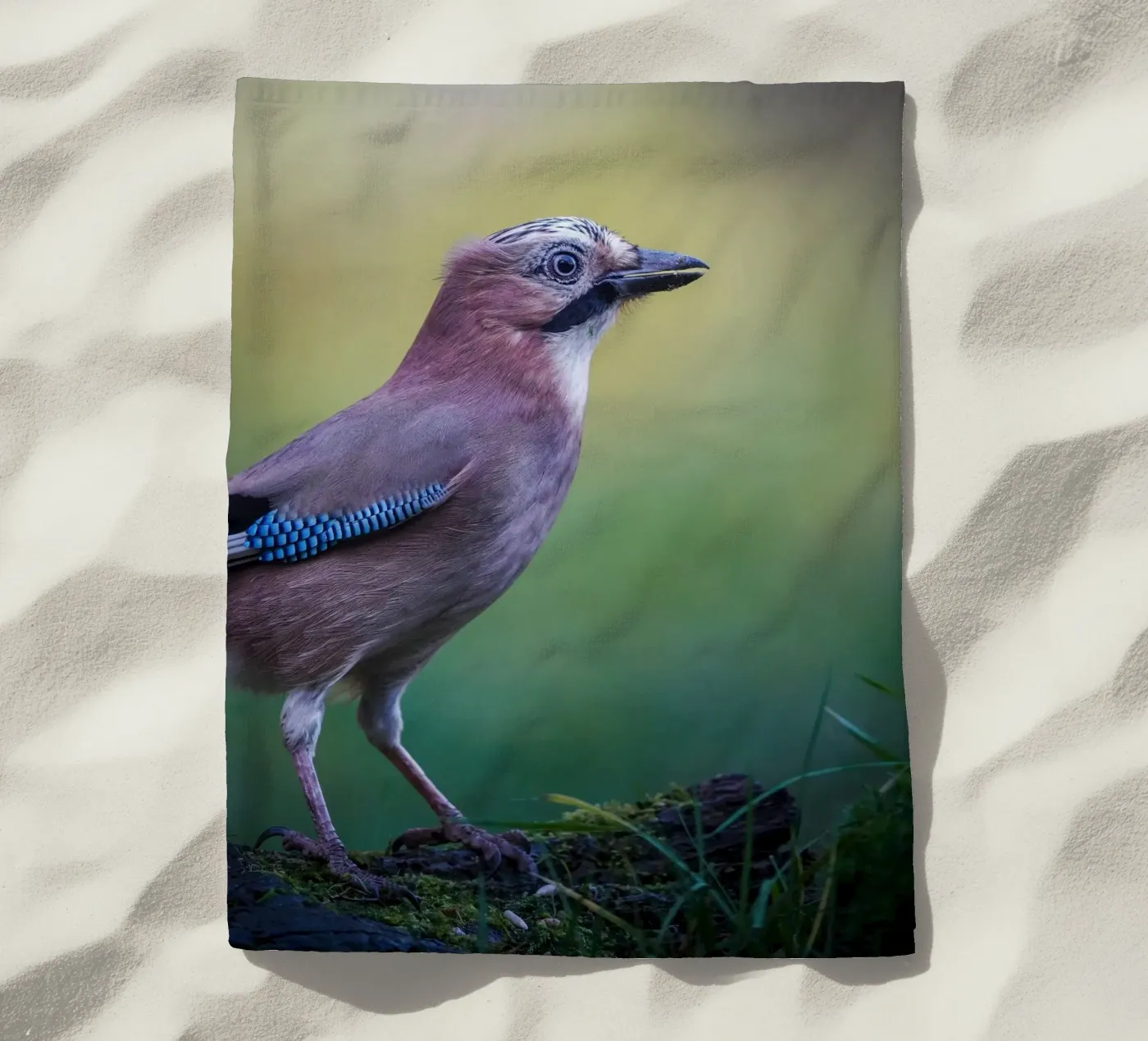 Jay strandhanddoek van Tom's Wildlife