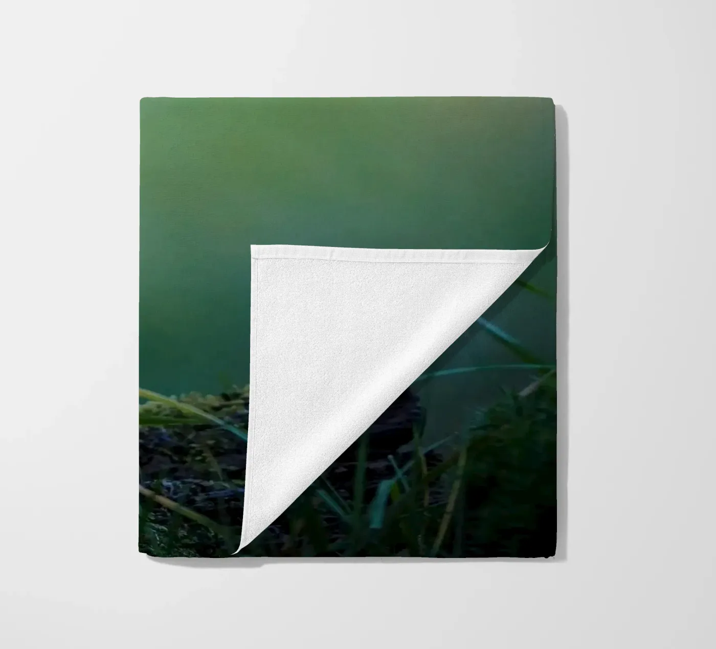 Jay strandhanddoek van Tom's Wildlife