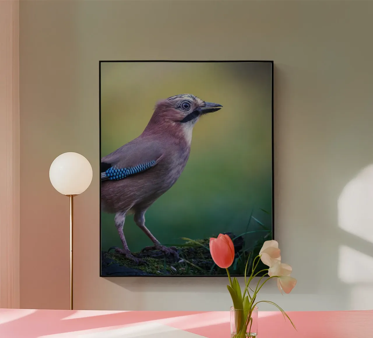 Jay plexiglass da Tom's Wildlife