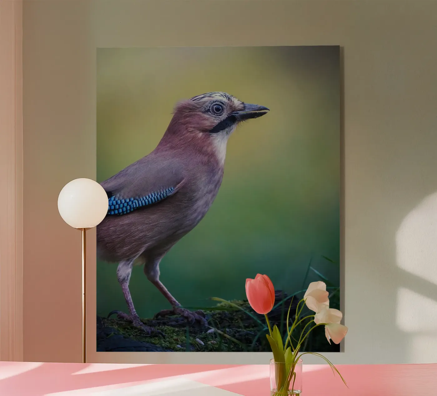 Jay plexiglas de Tom's Wildlife