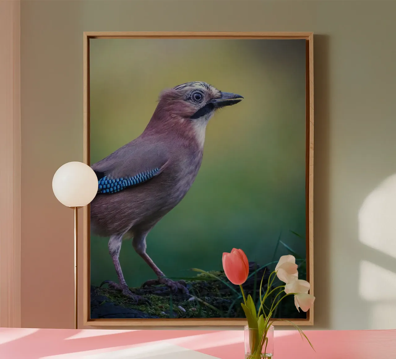 Jay tela da Tom's Wildlife