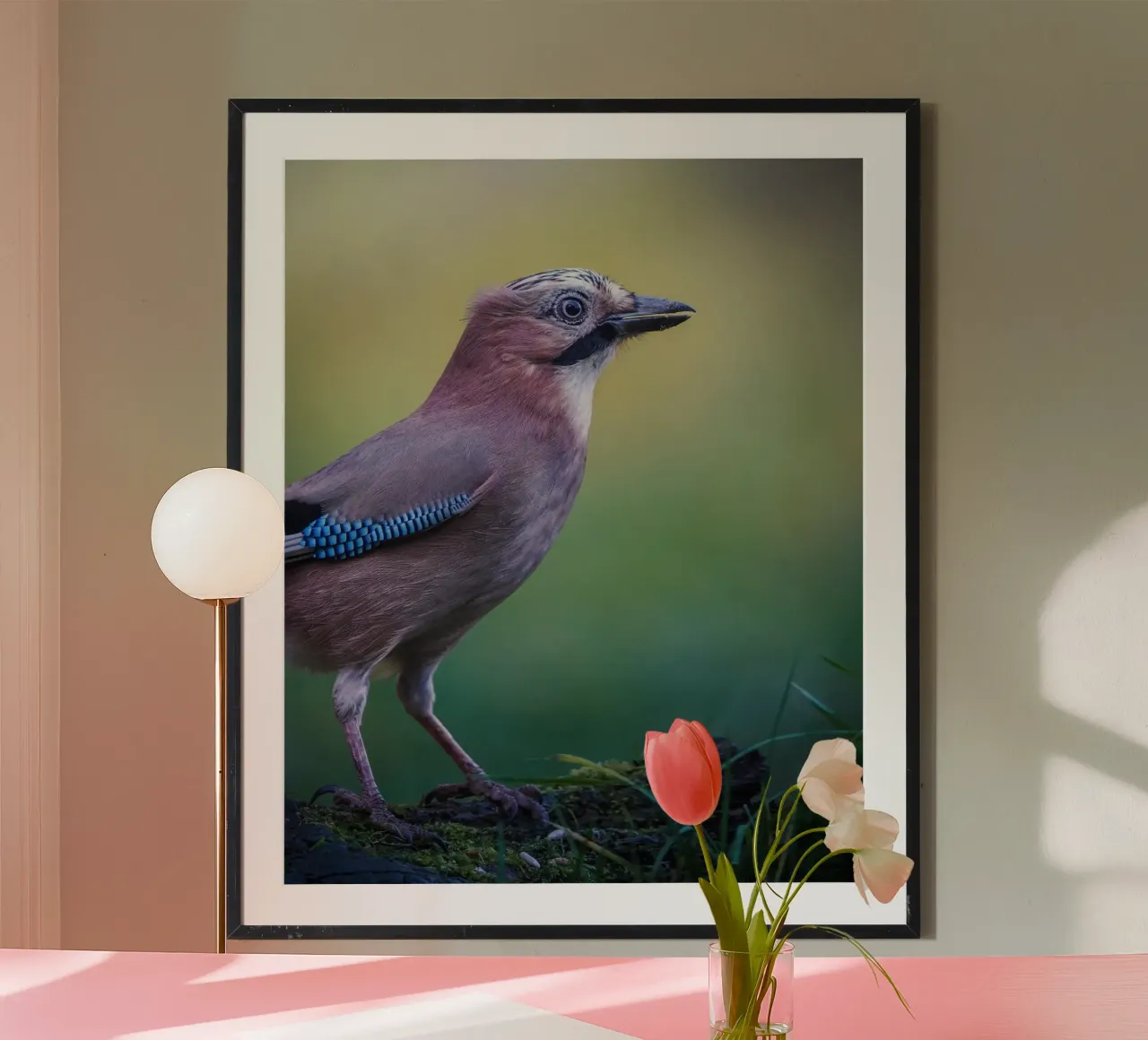 Jay poster van Tom's Wildlife