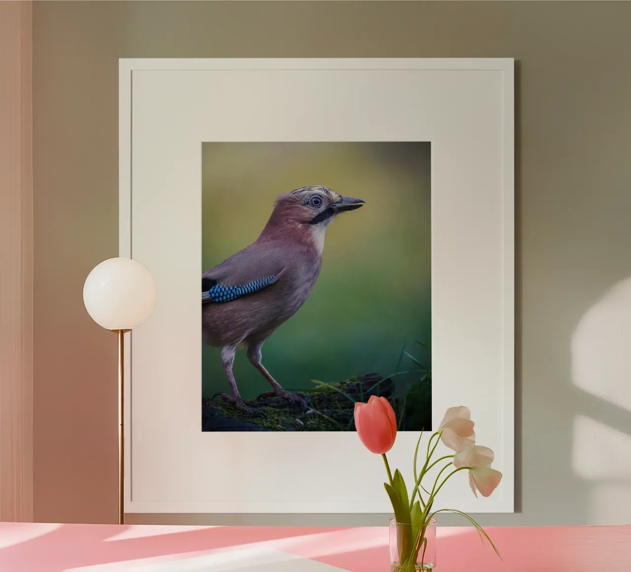 Jay poster van Tom's Wildlife