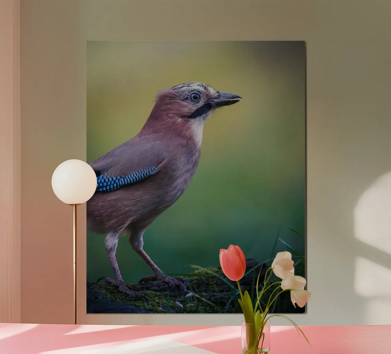 Jay poster van Tom's Wildlife