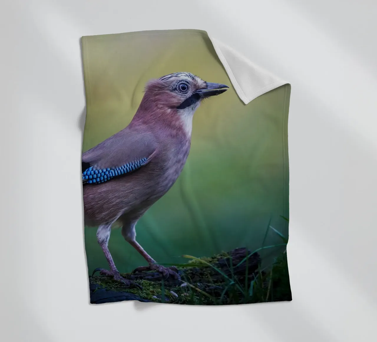 Jay fleece blanket by Tom's Wildlife