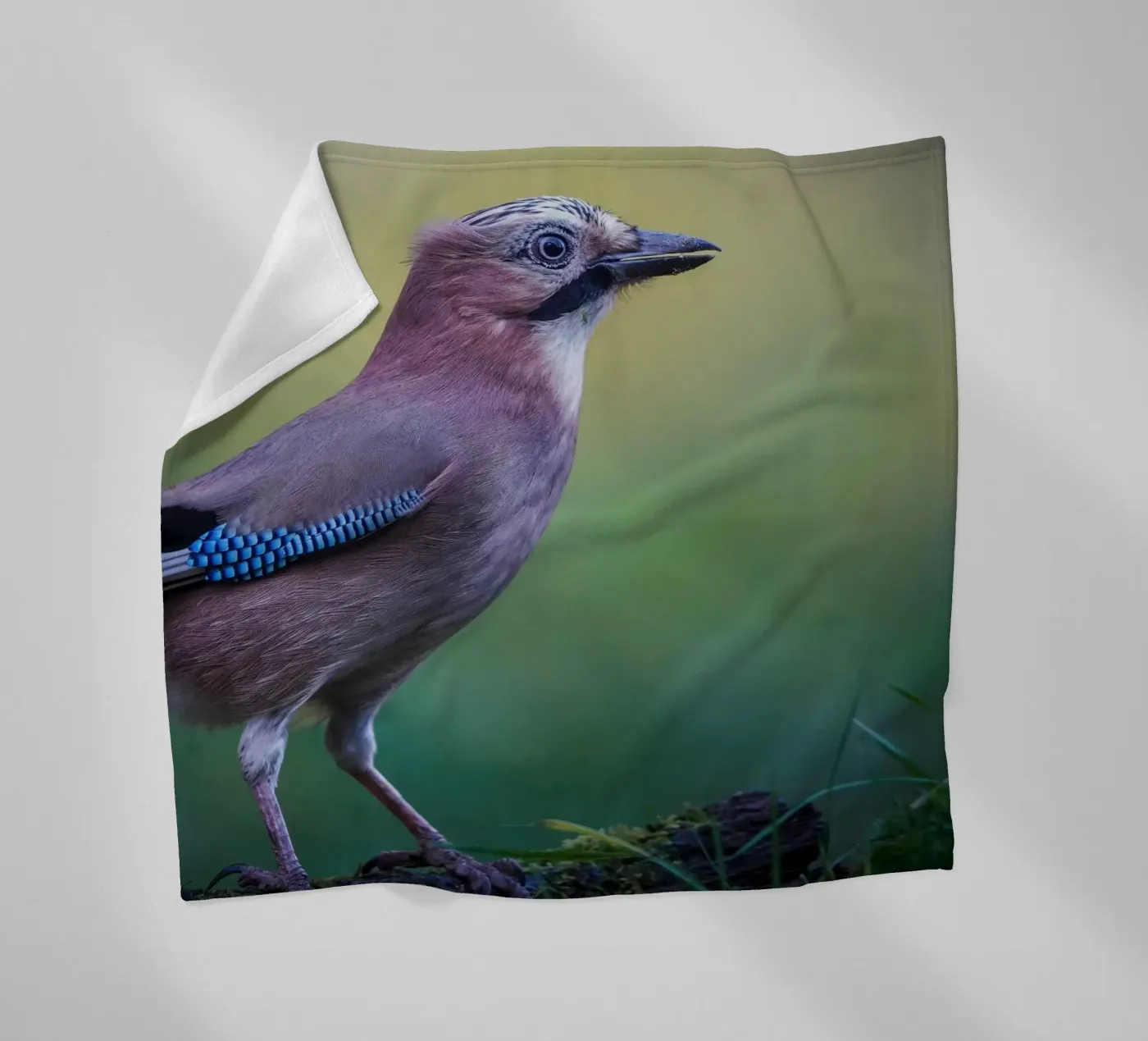 Jay Fleecedecke von Tom's Wildlife