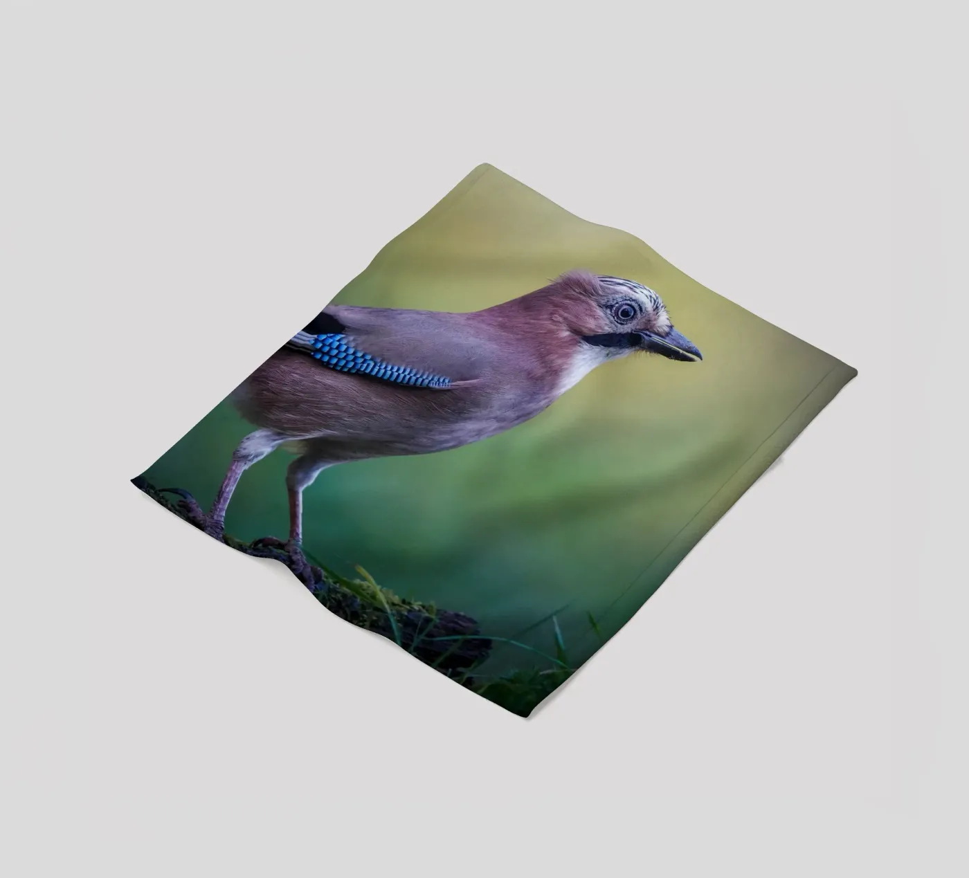 Jay Fleecedecke von Tom's Wildlife