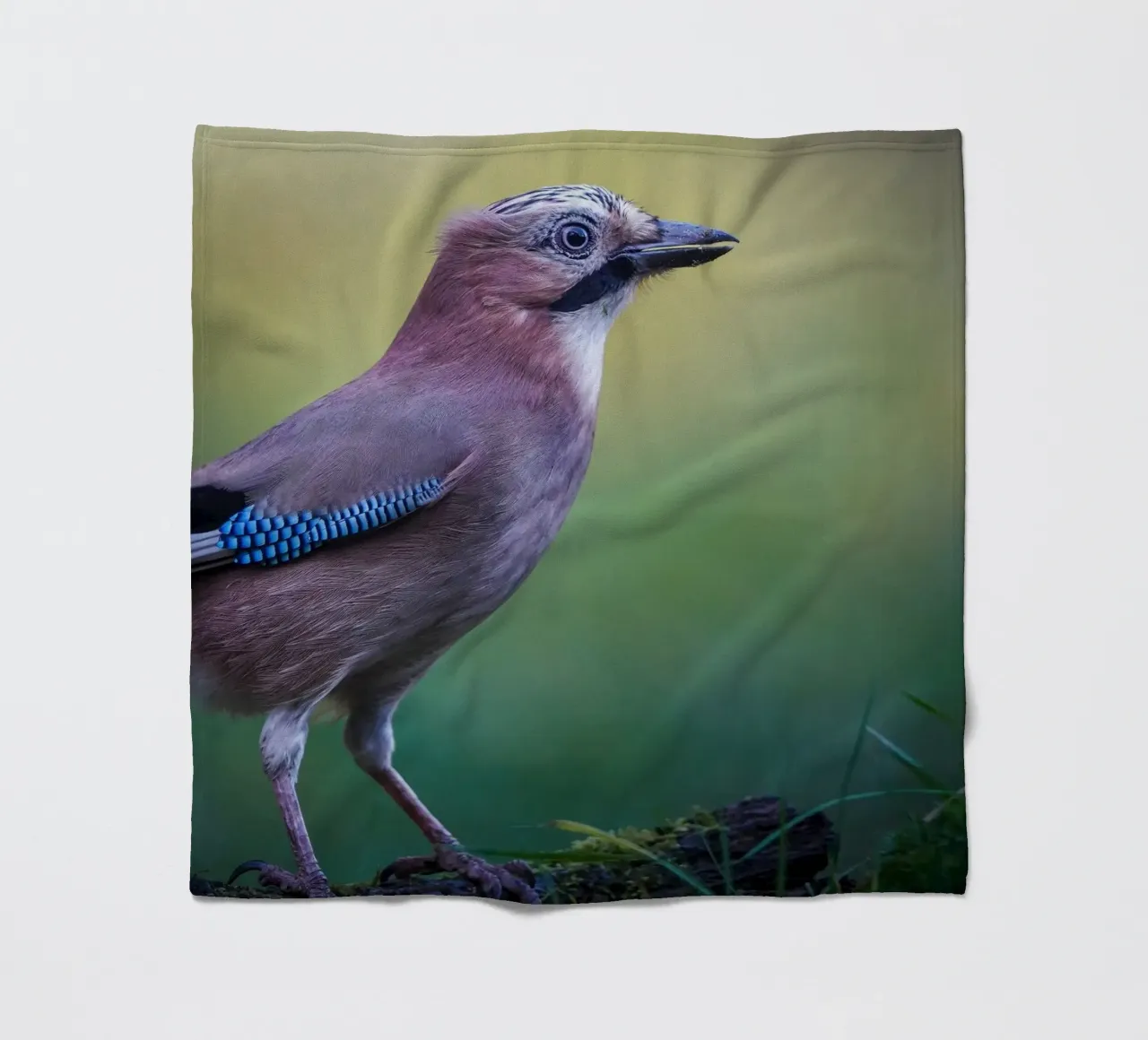 Jay fleece blanket by Tom's Wildlife