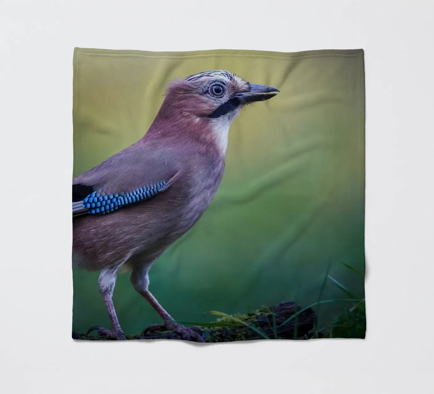 Jay Fleecedecke von Tom's Wildlife