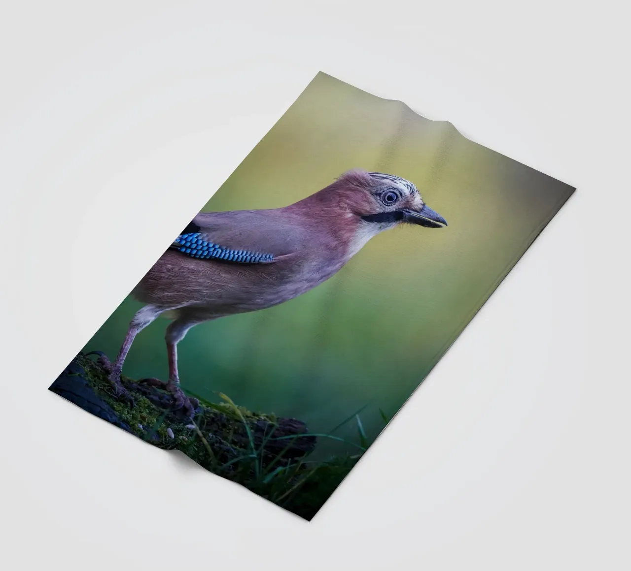 Jay fleece blanket by Tom's Wildlife