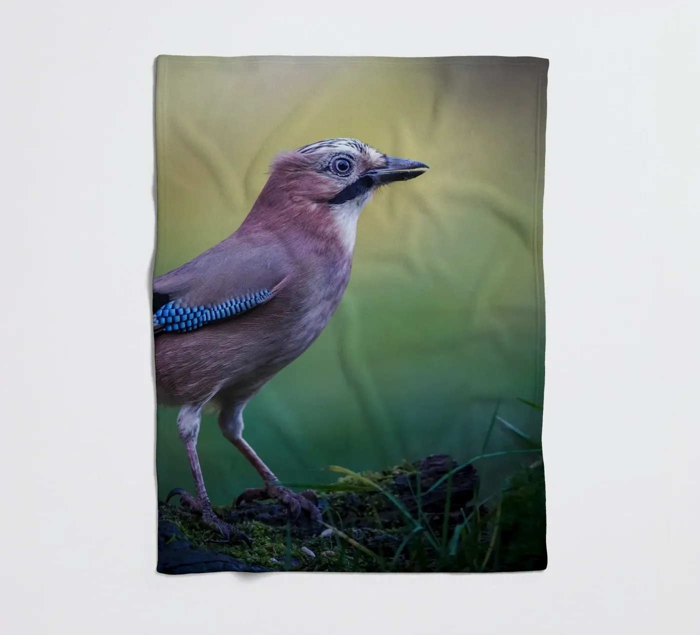 Jay Fleecedecke von Tom's Wildlife