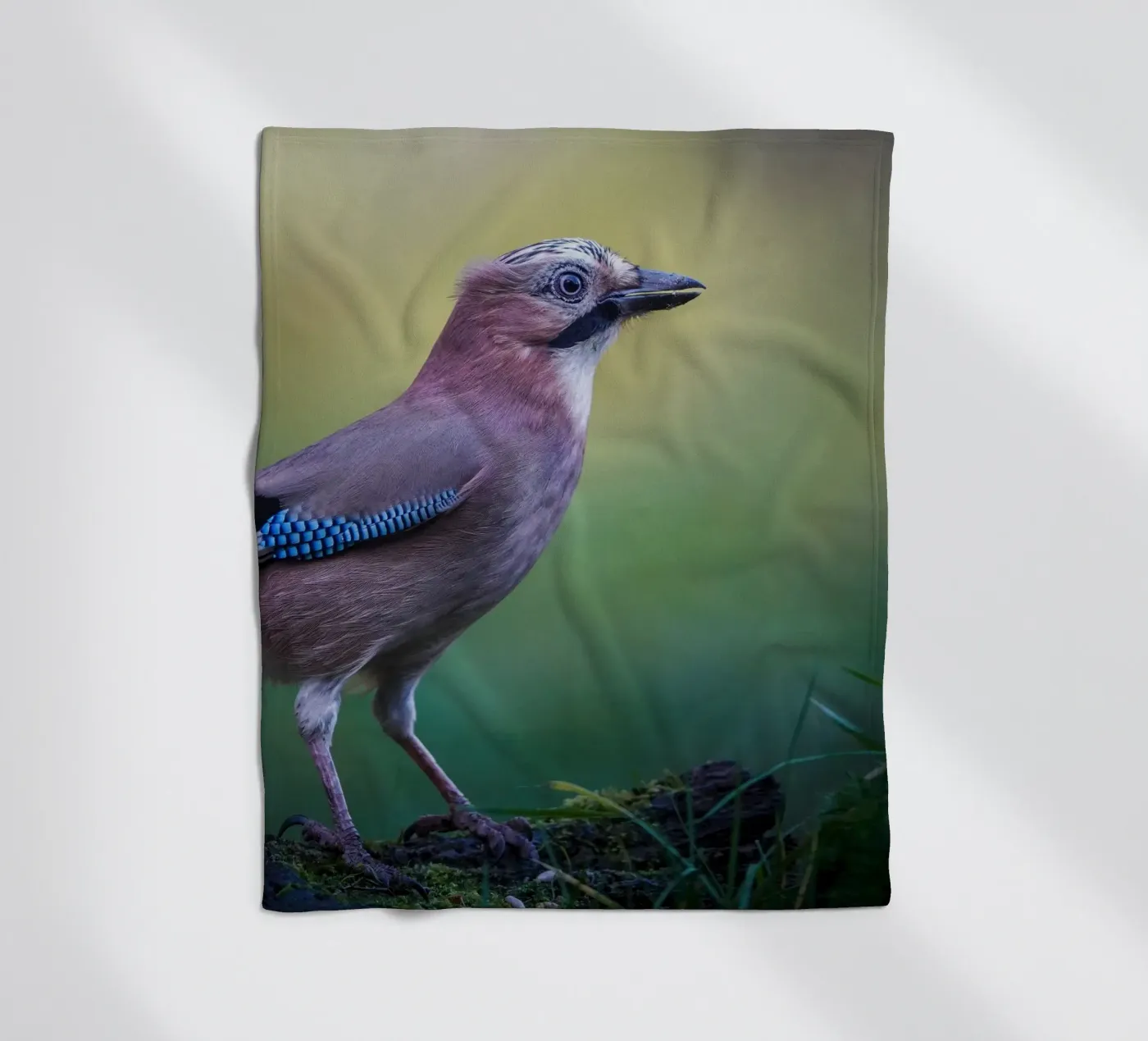 Jay Fleecedecke von Tom's Wildlife