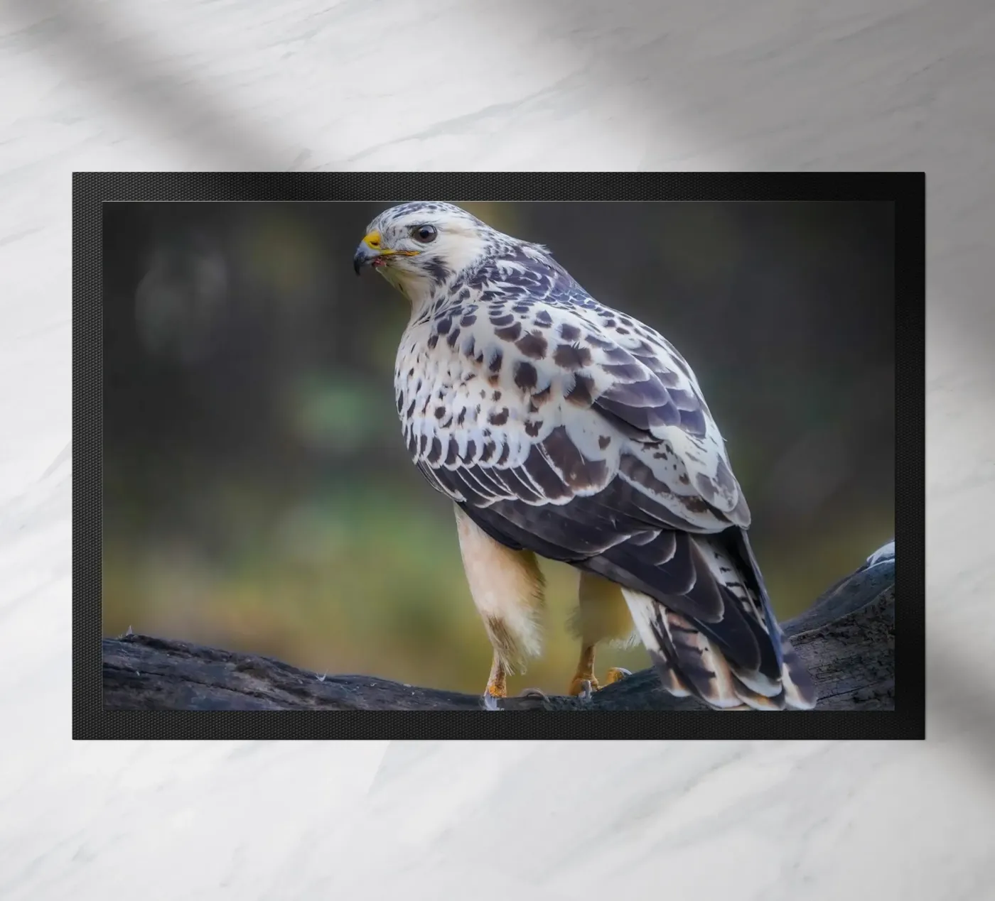 Common buzzard Fußmatte von Tom's Wildlife