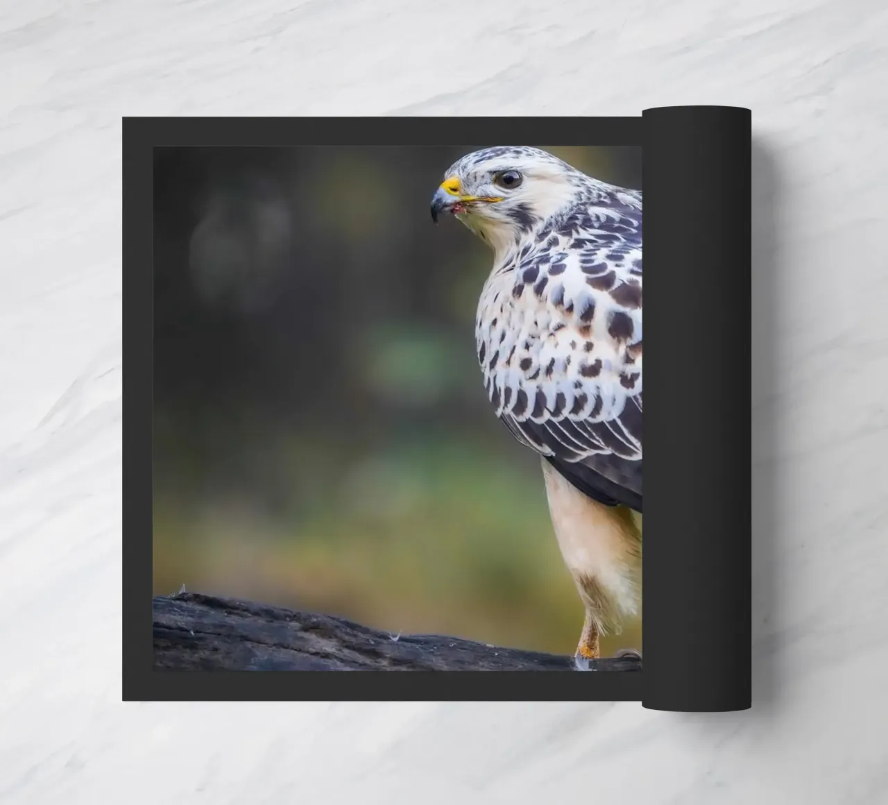 Common buzzard deurmat van Tom's Wildlife