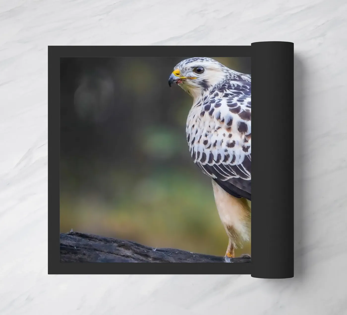 Common buzzard Fußmatte von Tom's Wildlife