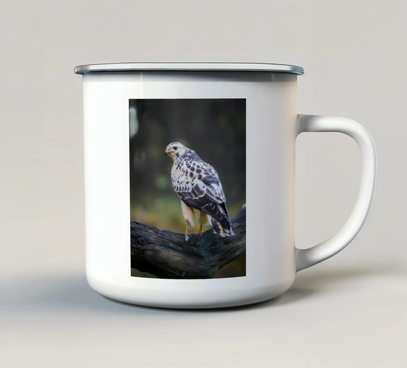 Common buzzard mug en émail de Tom's Wildlife