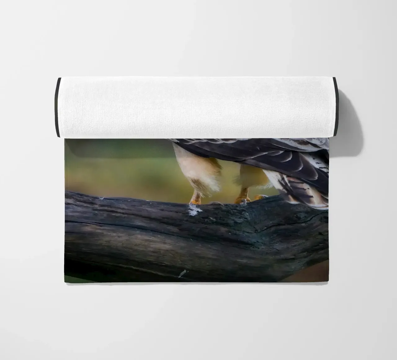 Poiana comune telo mare da Tom's Wildlife