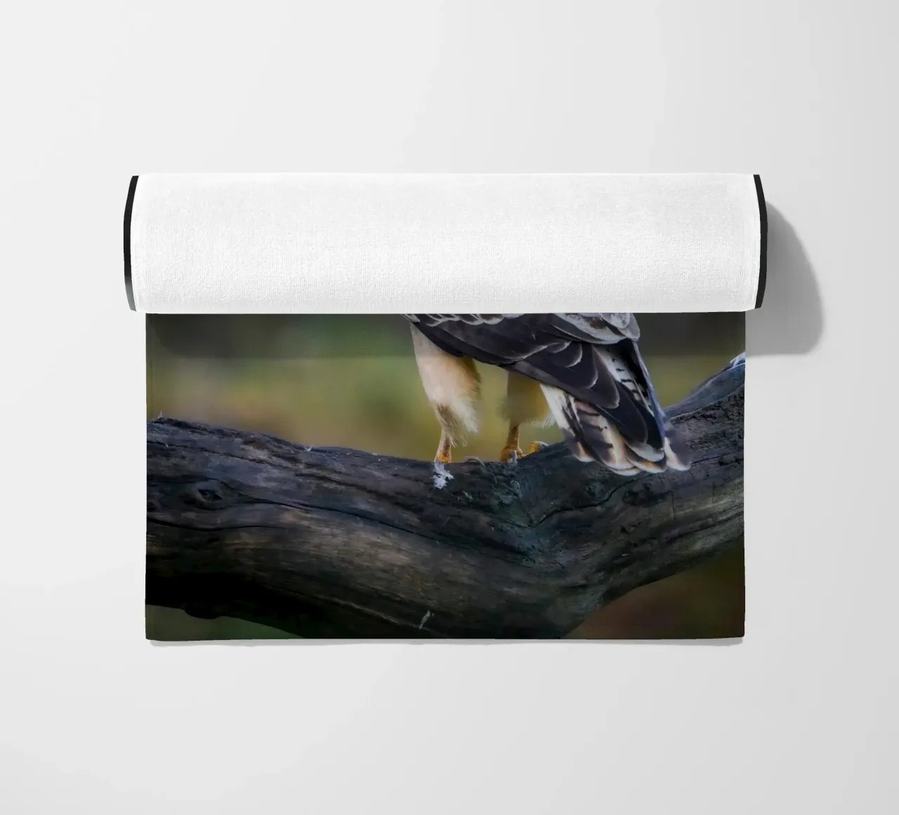 Poiana comune telo mare da Tom's Wildlife