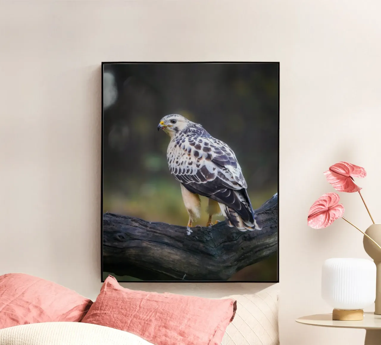 Common buzzard plexiglas de Tom's Wildlife