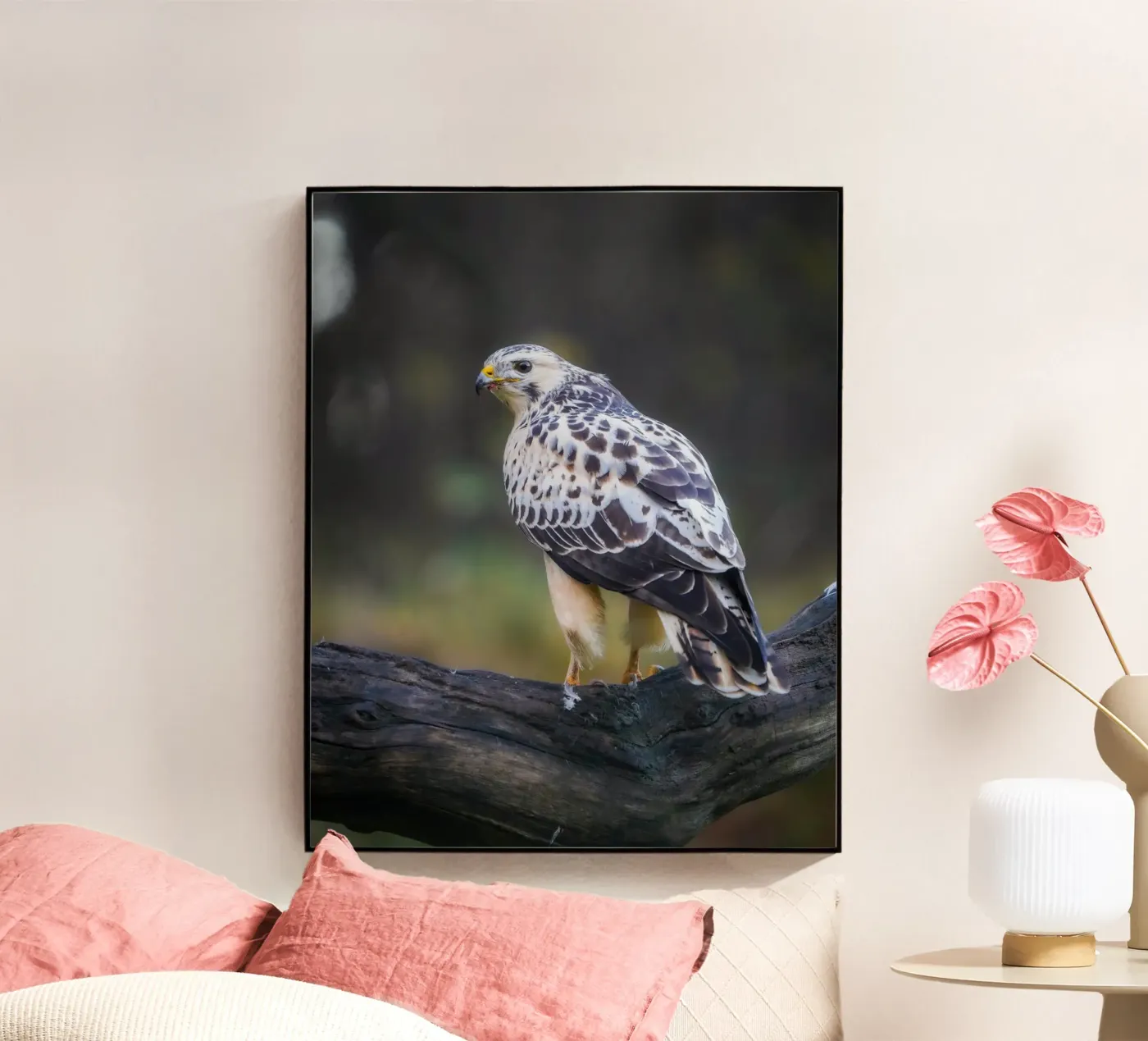 Poiana comune plexiglass da Tom's Wildlife