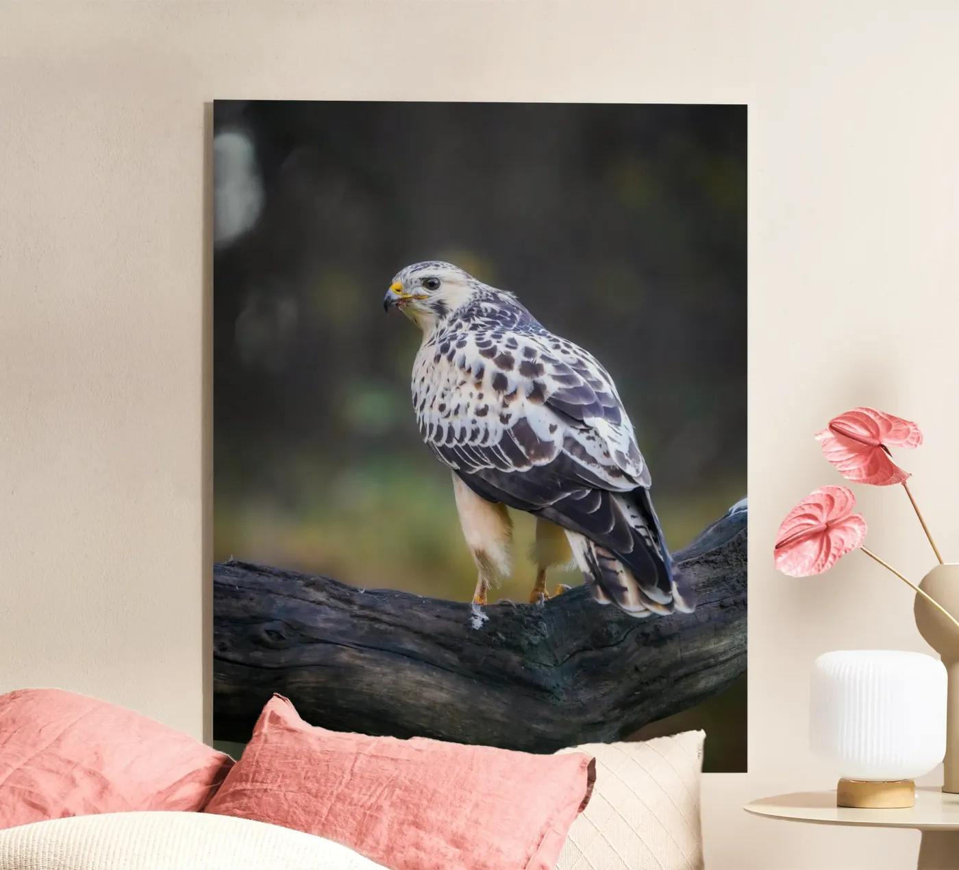 Common buzzard plexiglass da Tom's Wildlife