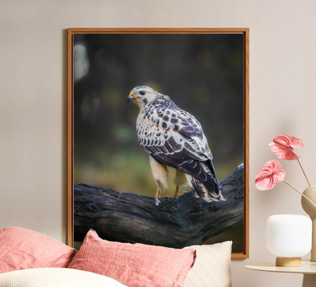 Buse variable panneau forex de Tom's Wildlife