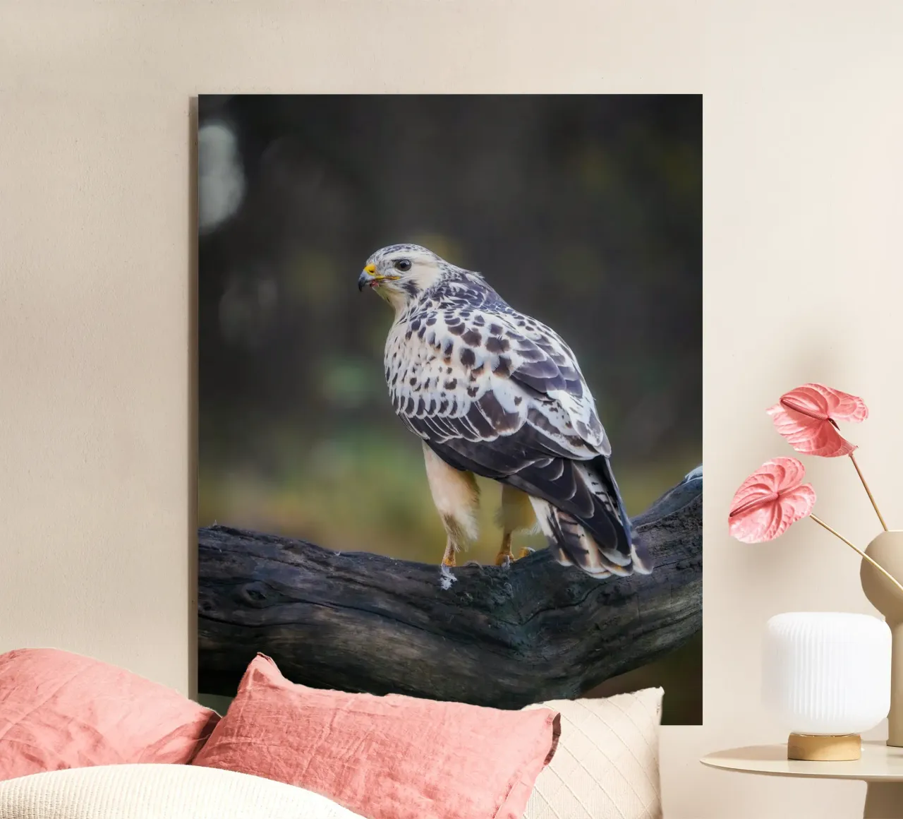 Buse variable panneau forex de Tom's Wildlife