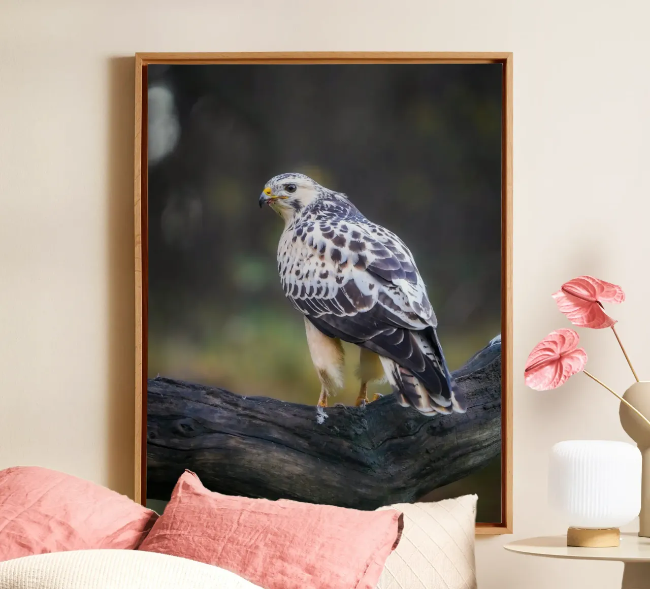 Buse variable product.type.leinwand common.byCreator Tom's Wildlife