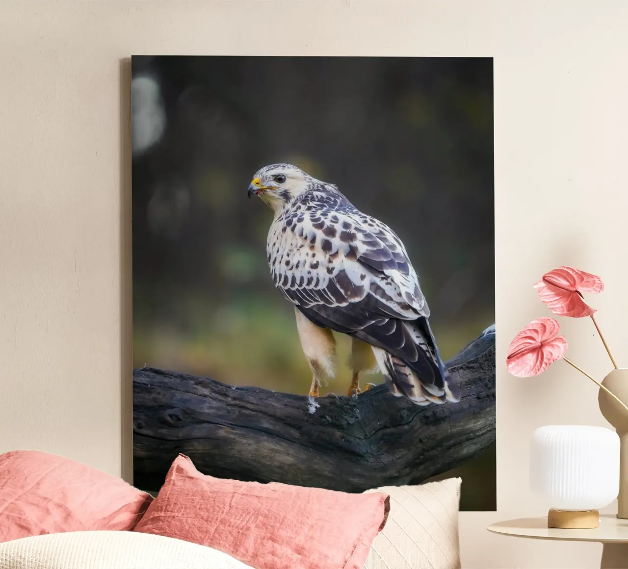 Buse variable product.type.leinwand common.byCreator Tom's Wildlife