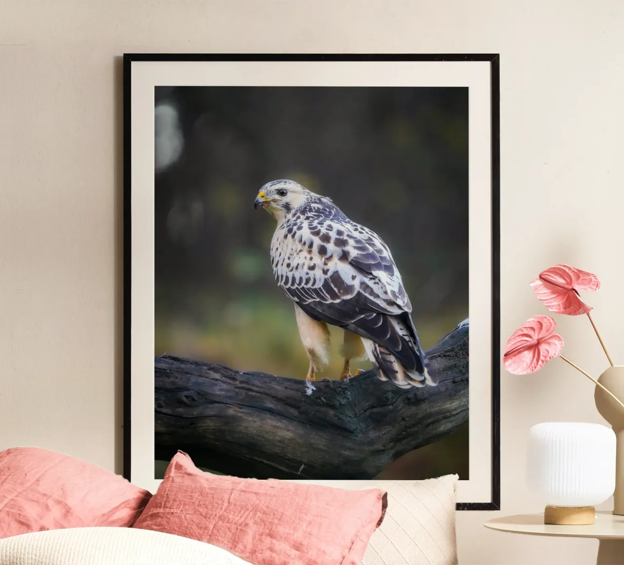 Common buzzard poster by Tom's Wildlife