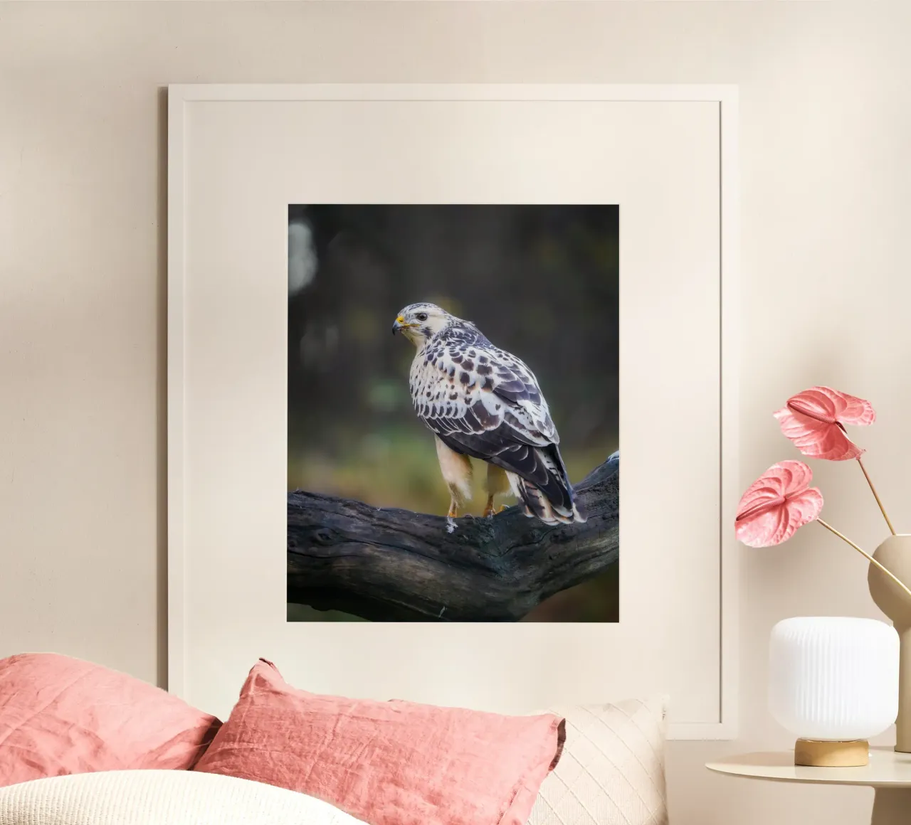 Common buzzard poster by Tom's Wildlife