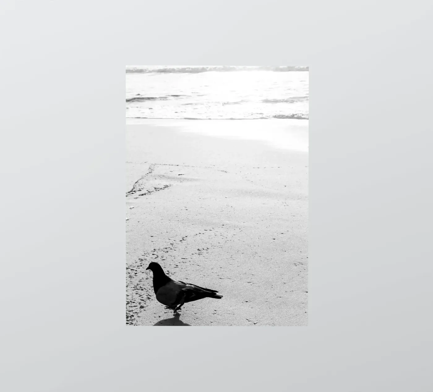 Sabbatical sticker van rafael campezato